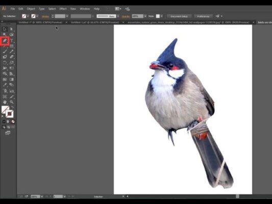 Remove the Background in Illustrator Using Image Trace
