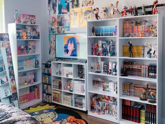The Perfect Shelf Anime Room